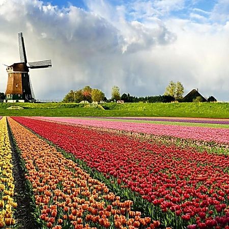 Отель Logeren Op Dijk43 Broek op Langedijk Номер фото