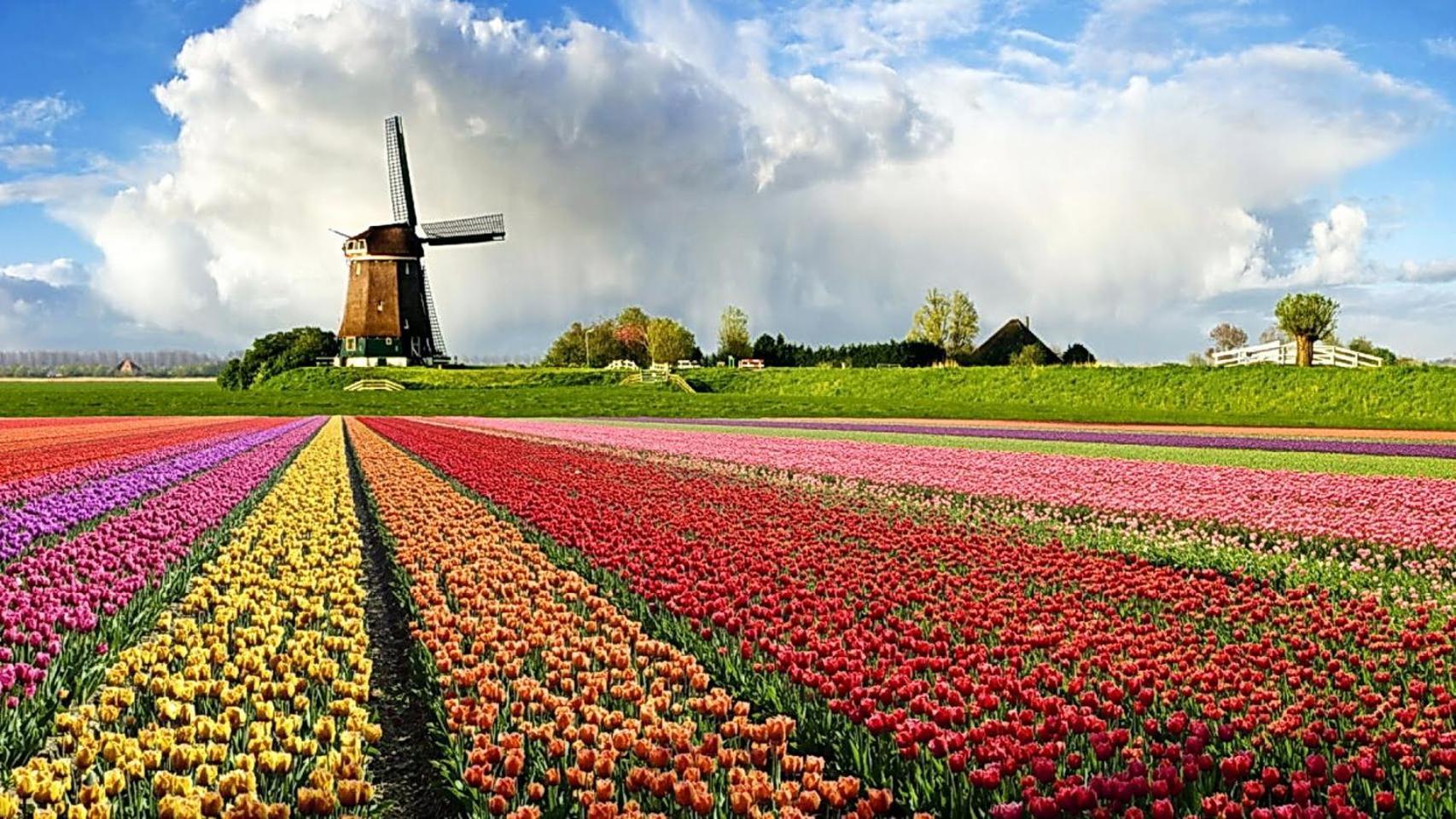 Отель Logeren Op Dijk43 Broek op Langedijk Номер фото